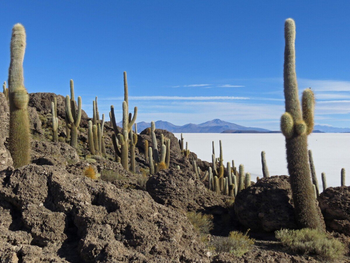 Paisaje Boliviano 2