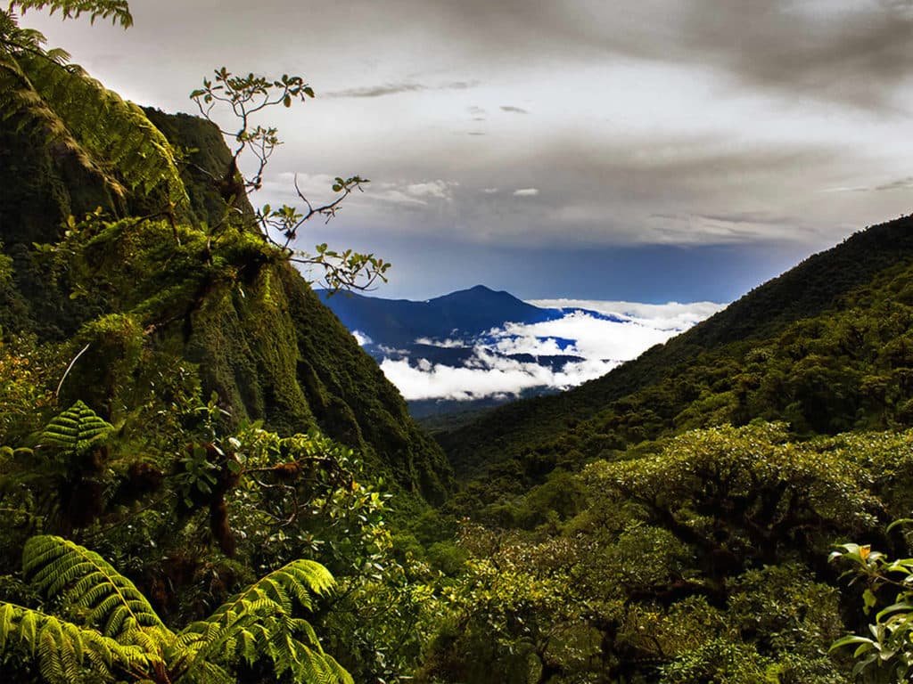 Paisaje Boliviano 13