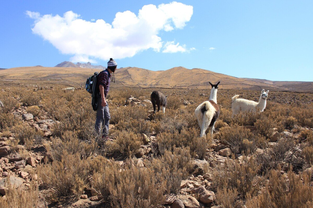 Paisaje Boliviano 1